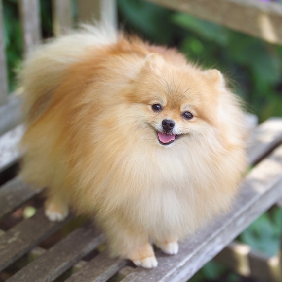 Meet your Posher, Michelle - Picture 6 of 13